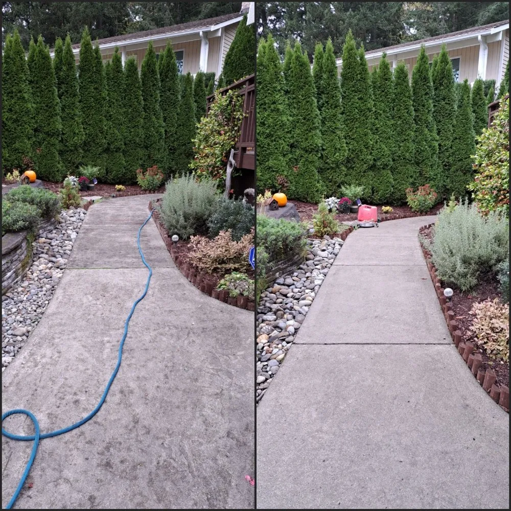 Expert yard cleanup service for homes across Maple Valley, WA - Hydroforce Pros