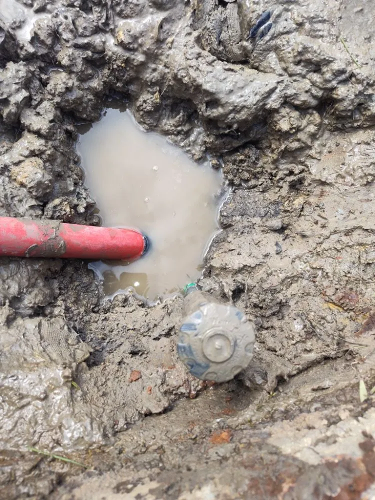 Expert yard cleanup service experts serving Arlington, TX - Hydrology Services