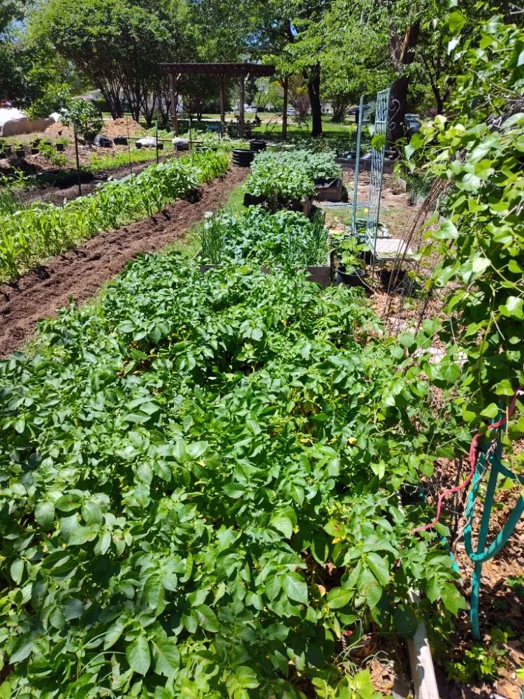 Top-rated landscape design in Arlington, TX - Hydrology Services