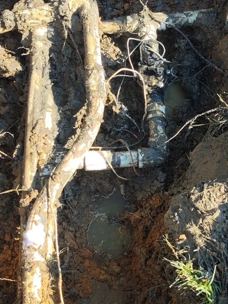 Expert yard cleanup service in Arlington, TX by Hydrology Services