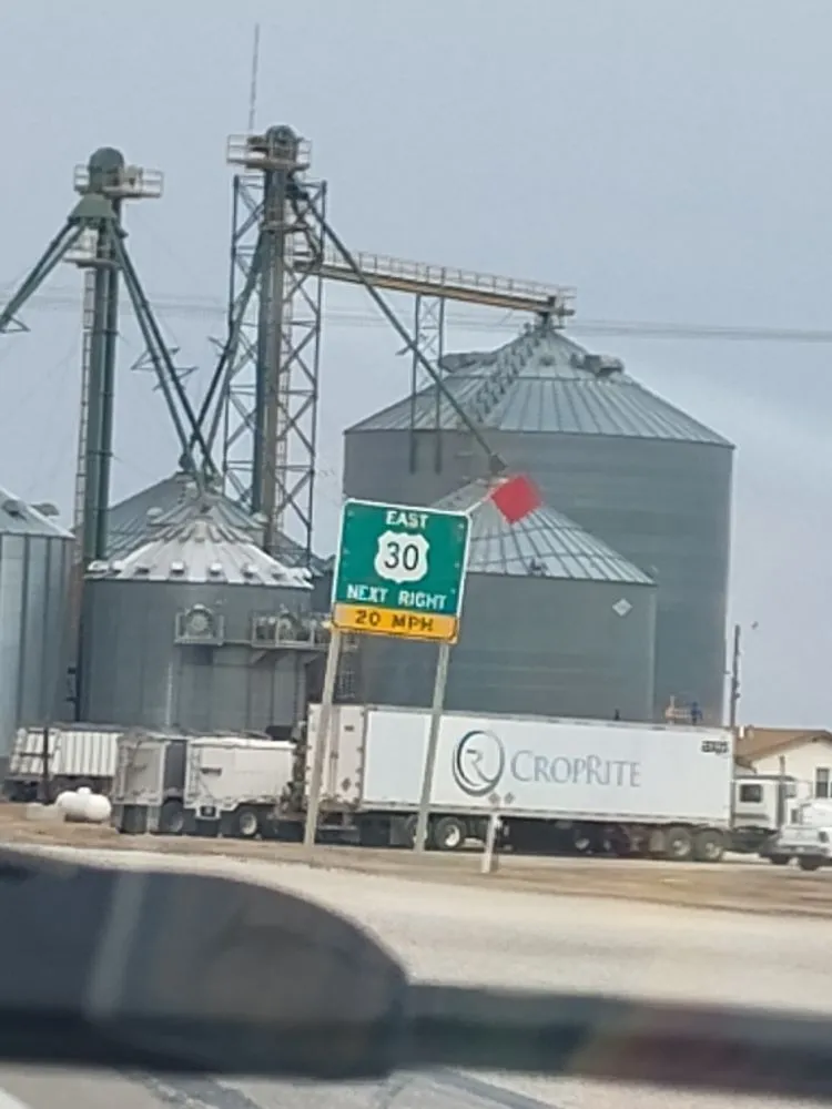 Trusted yard cleanup service in Arlington, TX by Hydrology Services