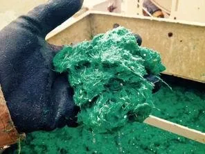 Expert landscaping services in Belleville, IL by Hydroscape Solutions