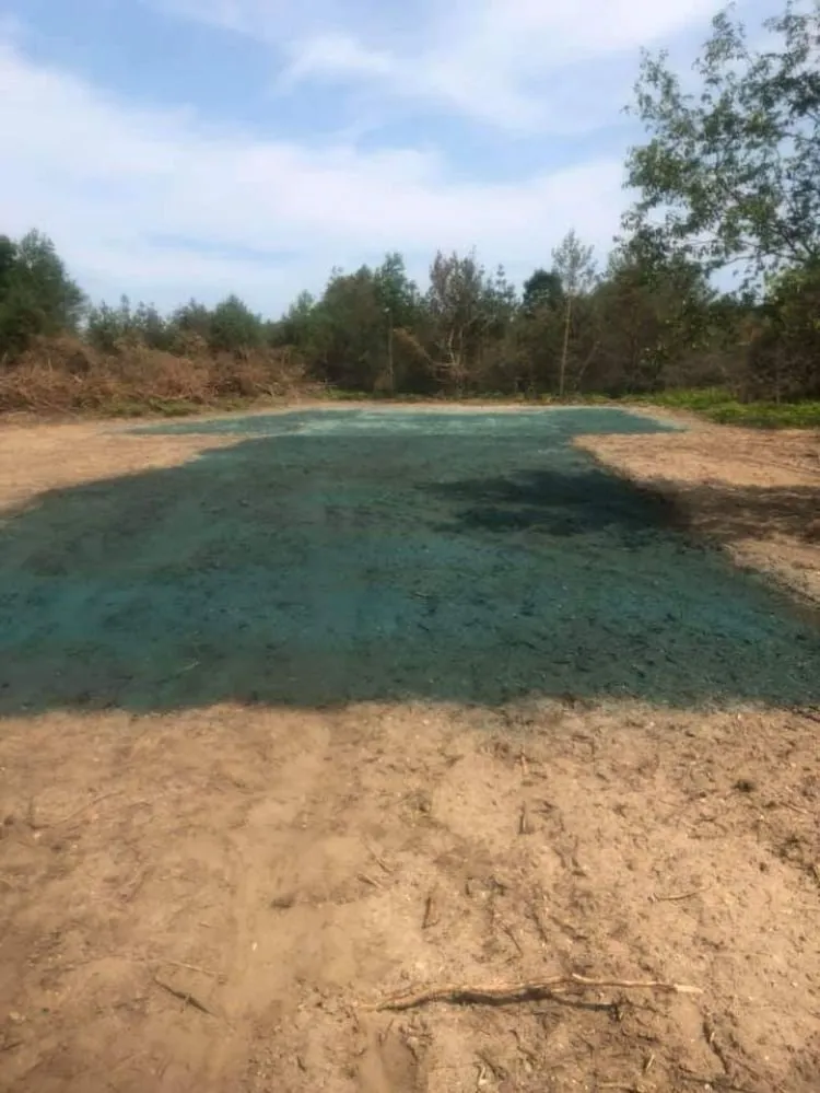 Trusted yard maintenance in Belleville, IL by Hydroscape Solutions