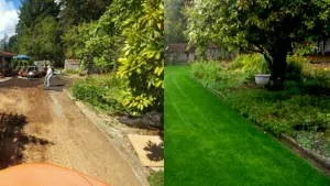 Affordable garden landscaping for year-round maintenance in Belleville, IL by Hydroscape Solutions