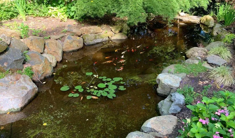 Top-rated yard maintenance in Parker Ford, PA by Hydroscapes