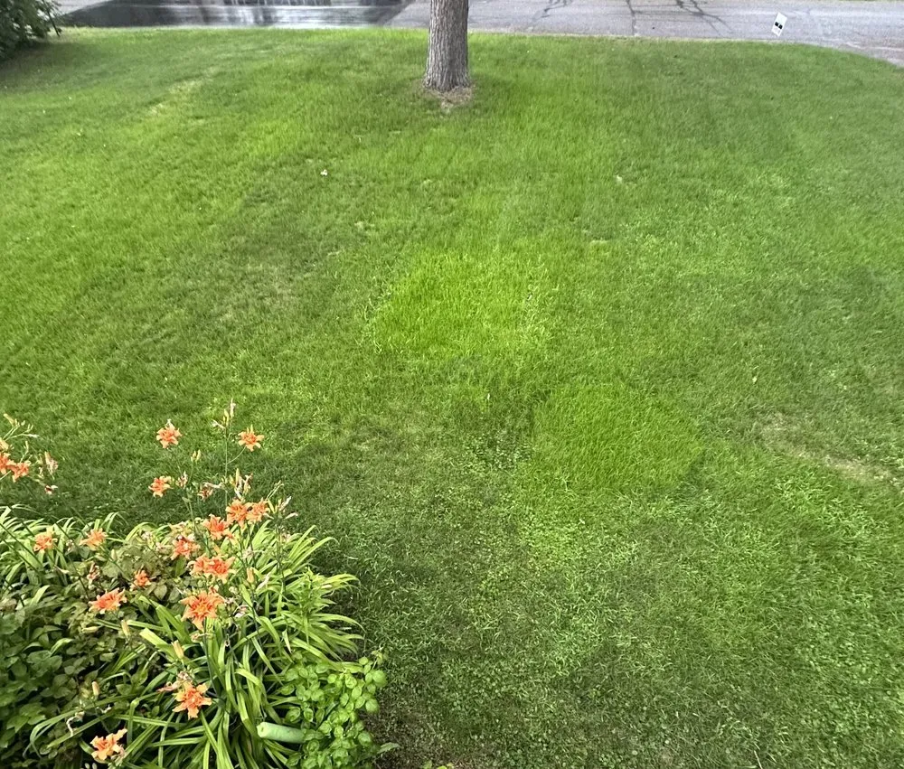 Custom lawn care service experts serving Breezy Point, MN - Hydroseed