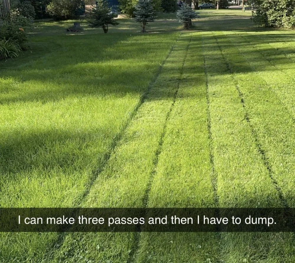 Top-rated landscape installation for year-round maintenance in Breezy Point, MN by Hydroseed