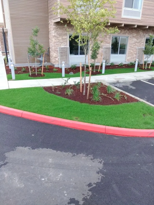 Reliable yard maintenance in Orting, WA by Hydroseeding & Bark Blowers