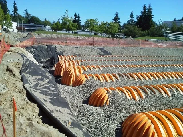 Reliable yard cleanup service in Orting, WA by Hydroseeding & Bark Blowers