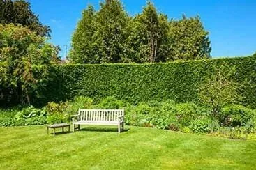 Top-rated lawn care service for homes in Pueblo, CO by Hydroseeding and Sod By Taravella's Hydro Turf