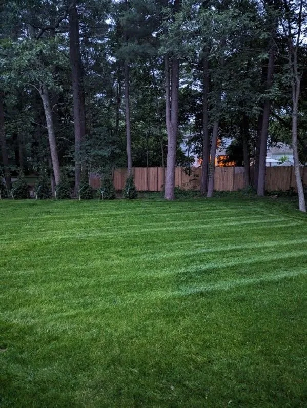 Custom lawn care service near you in Medfield, MA by Hydroseeding By Norman