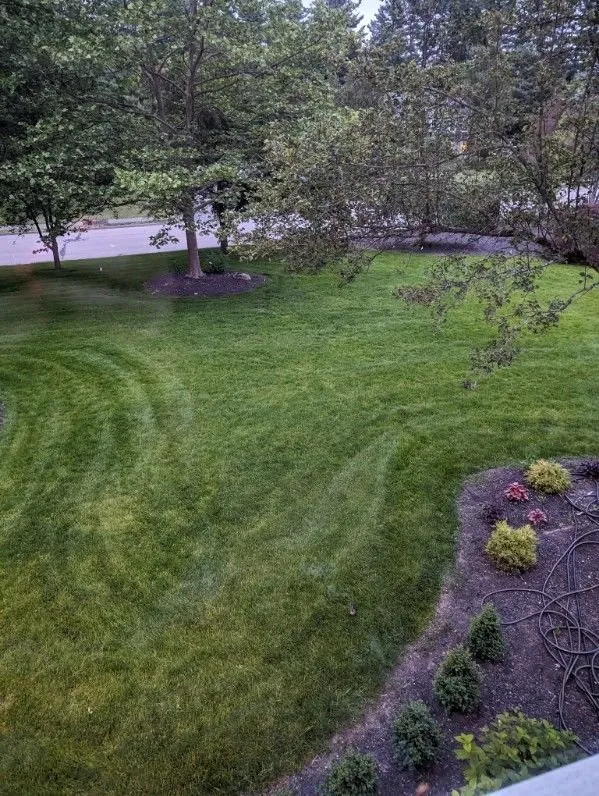 Reliable yard maintenance in Medfield, MA by Hydroseeding By Norman