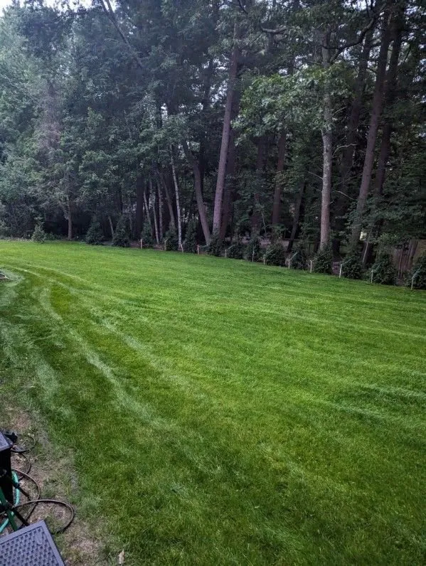 Affordable landscape installation in Medfield, MA - Hydroseeding By Norman