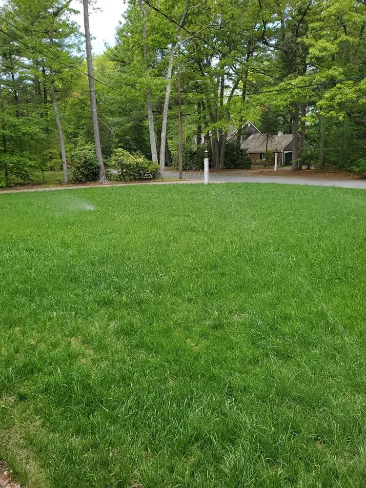 Top-rated residential landscaping in Medfield, MA - Hydroseeding By Norman