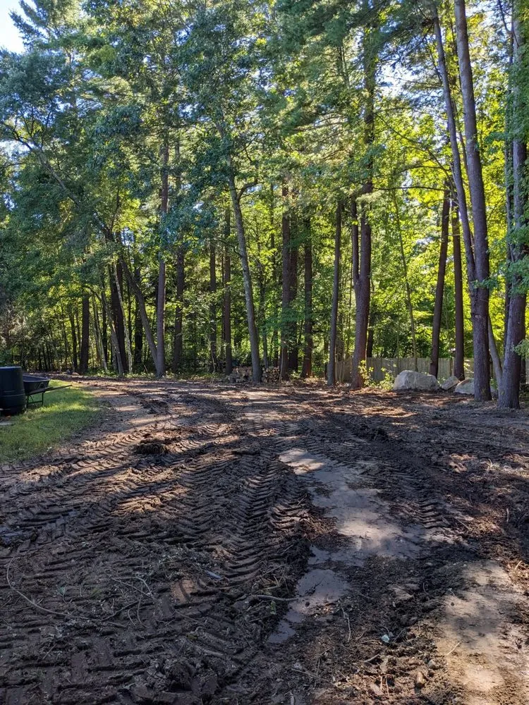 Professional yard maintenance for residential properties in Medfield, MA by Hydroseeding By Norman
