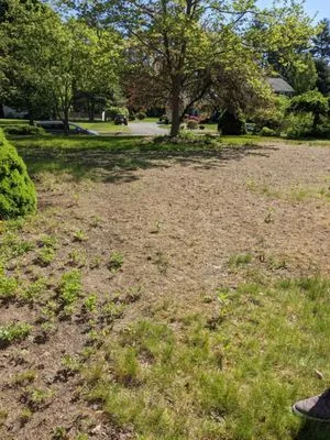 Hydroseeding By Norman