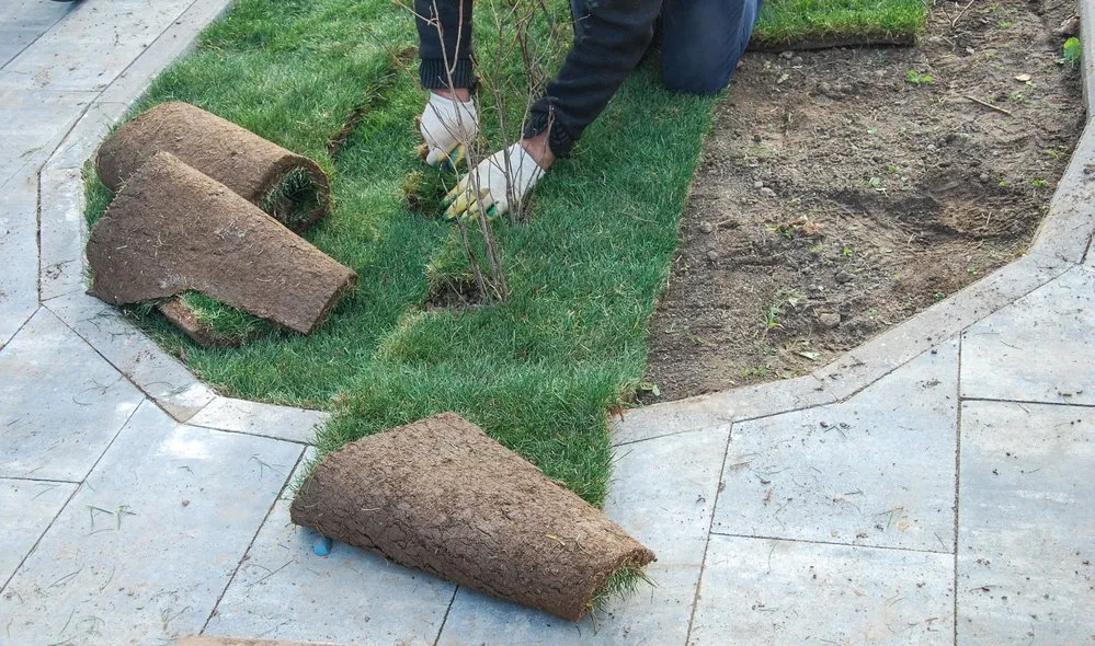 Top-rated garden landscaping in Ramsey, MN by Hydroseeding Creations
