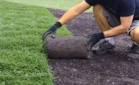 Affordable lawn care service for year-round maintenance in Ramsey, MN by Hydroseeding Creations