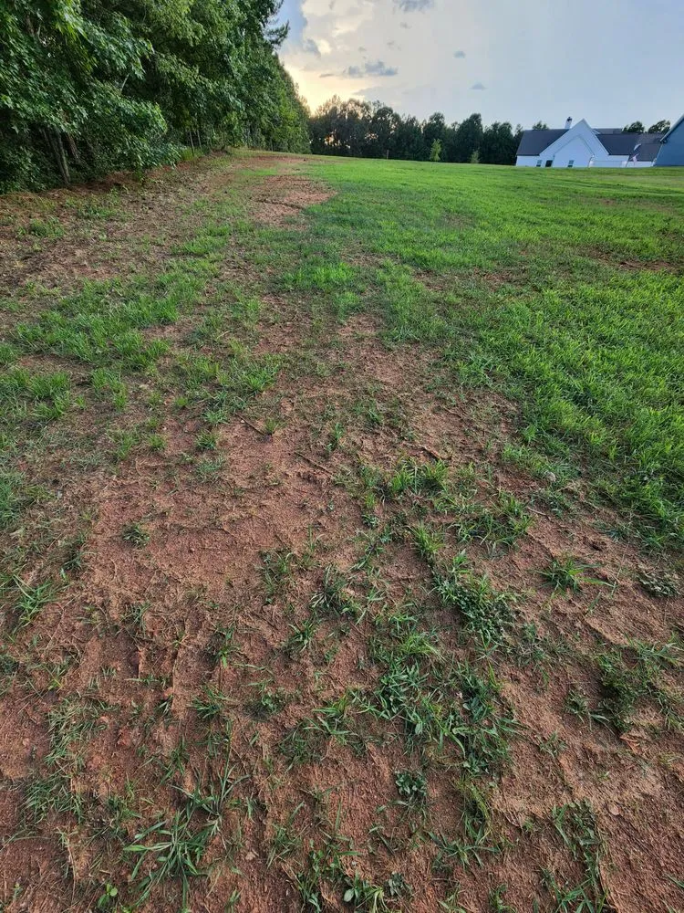 Trusted lawn care service for beautiful yards across Woodstock, GA - Hydroseeding