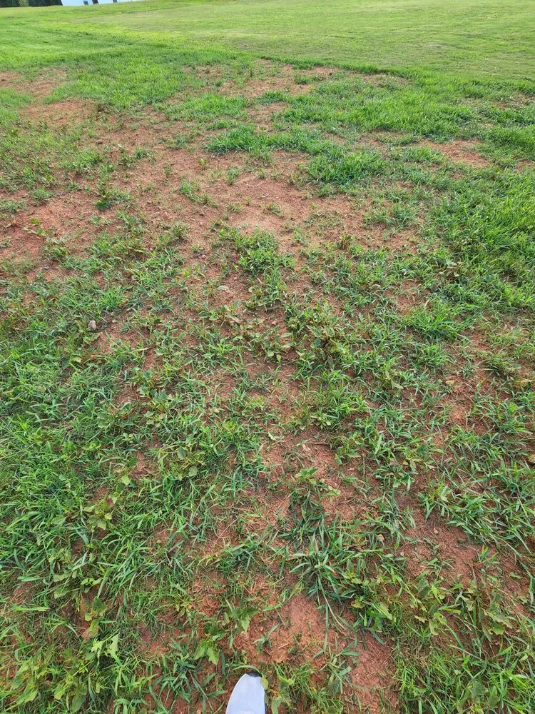 Trusted garden landscaping for homes in Woodstock, GA by Hydroseeding