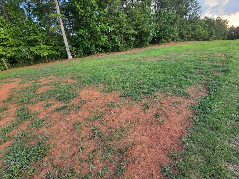 Trusted lawn mowing service in Woodstock, GA by Hydroseeding