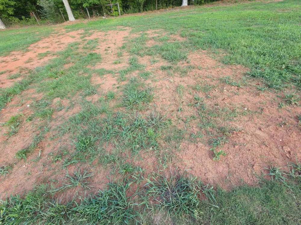 Top-rated landscape installation for beautiful yards across Woodstock, GA - Hydroseeding