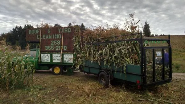 Expert landscape design for homes across Puyallup, WA - Hydrotilling