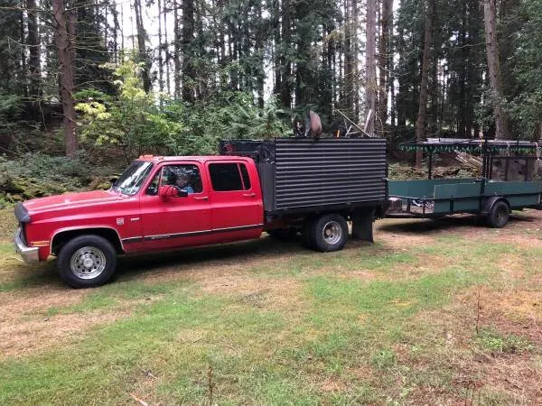 Professional landscape installation in Puyallup, WA by Hydrotilling