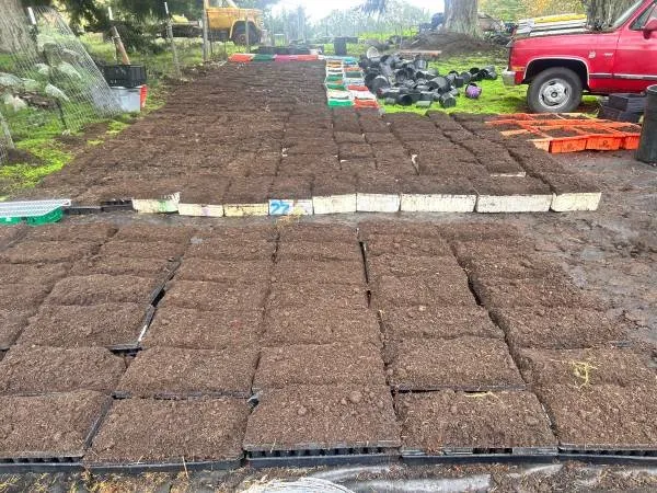 Reliable lawn mowing service for homes in Puyallup, WA by Hydrotilling