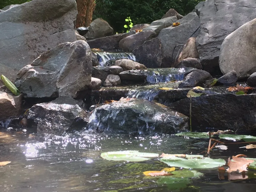 Top-rated residential landscaping in Millsboro, DE - HydroZen Waterscapes