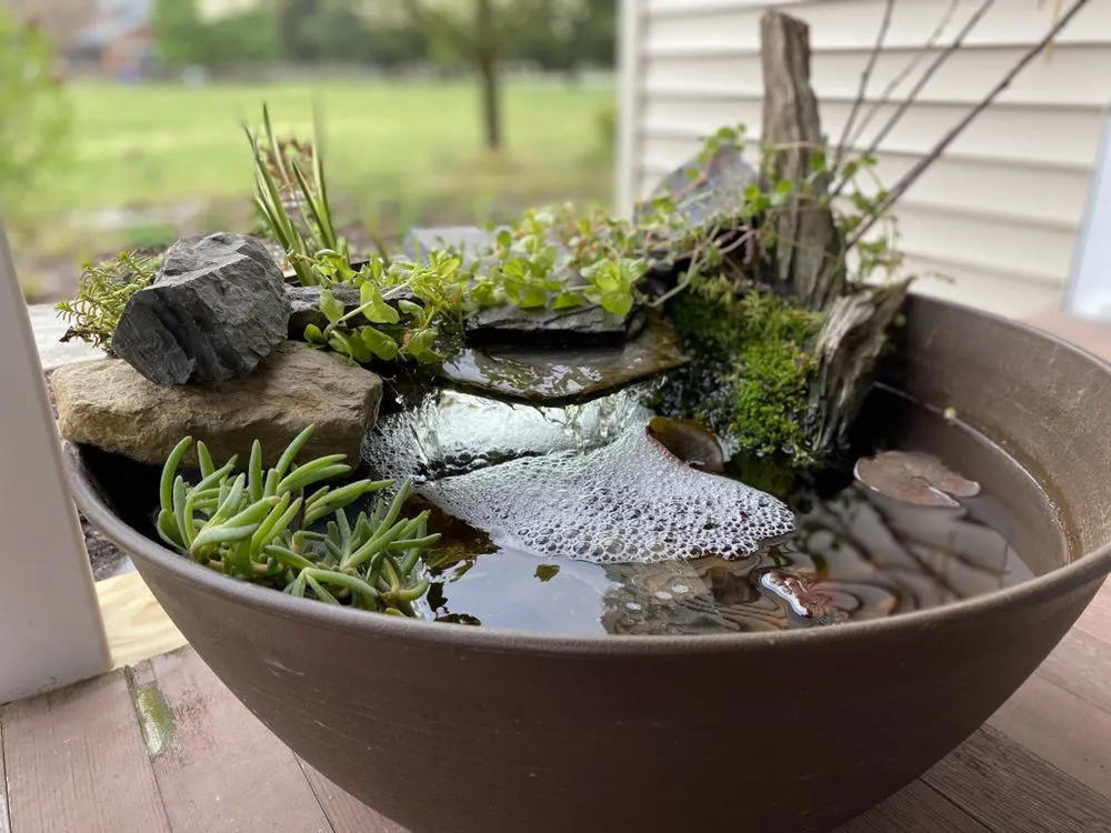 Trusted lawn care service for homes in Millsboro, DE by HydroZen Waterscapes