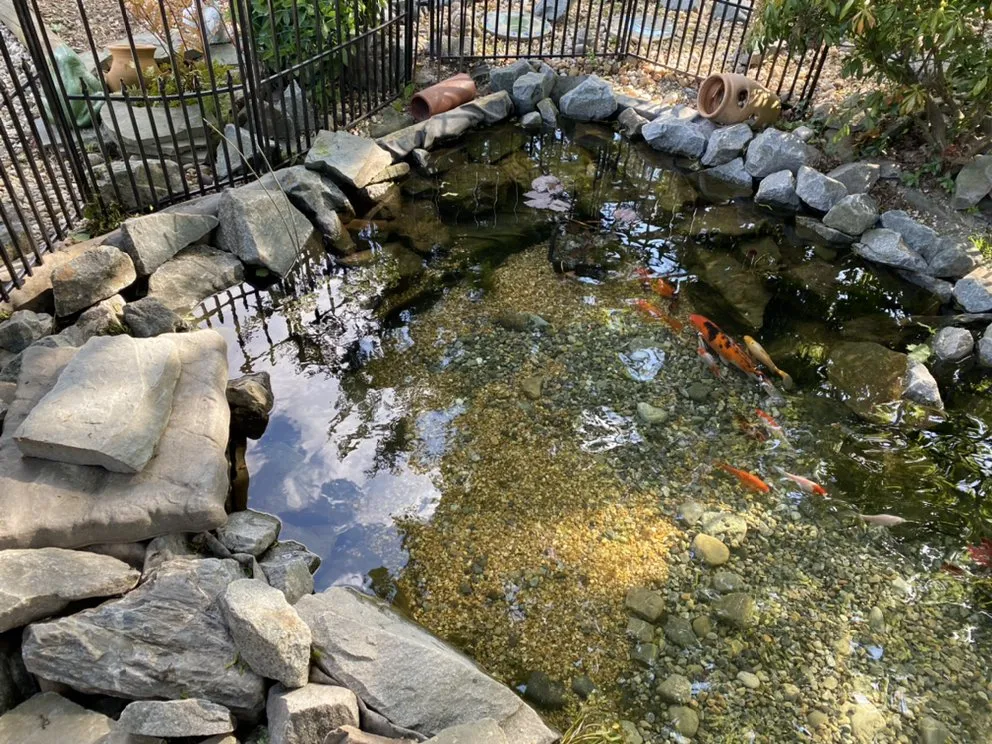 Professional lawn care service for beautiful yards in Millsboro, DE by HydroZen Waterscapes