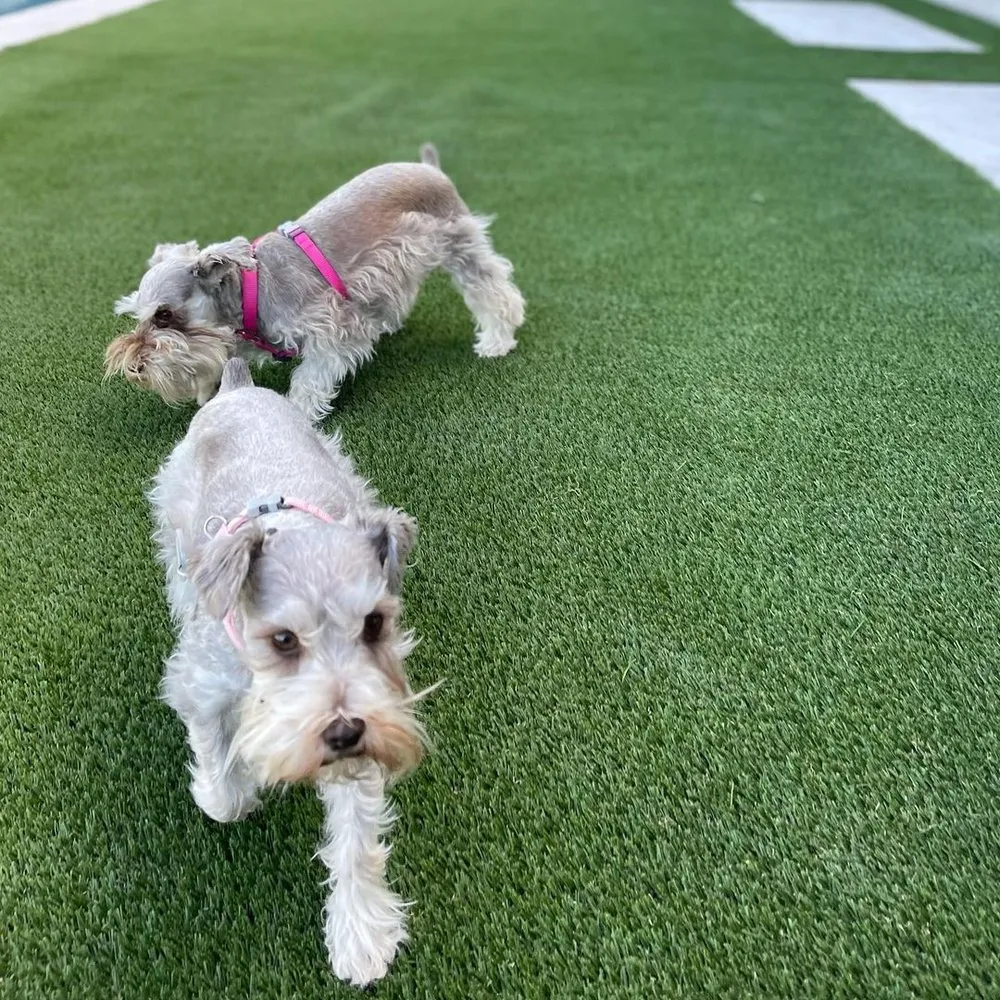 Custom landscape installation near you across Gainesville, FL - Hyer Quality Hardscape & Turf