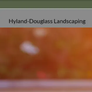 Professional yard maintenance in Dallas, TX by Hyland Douglass Landscaping