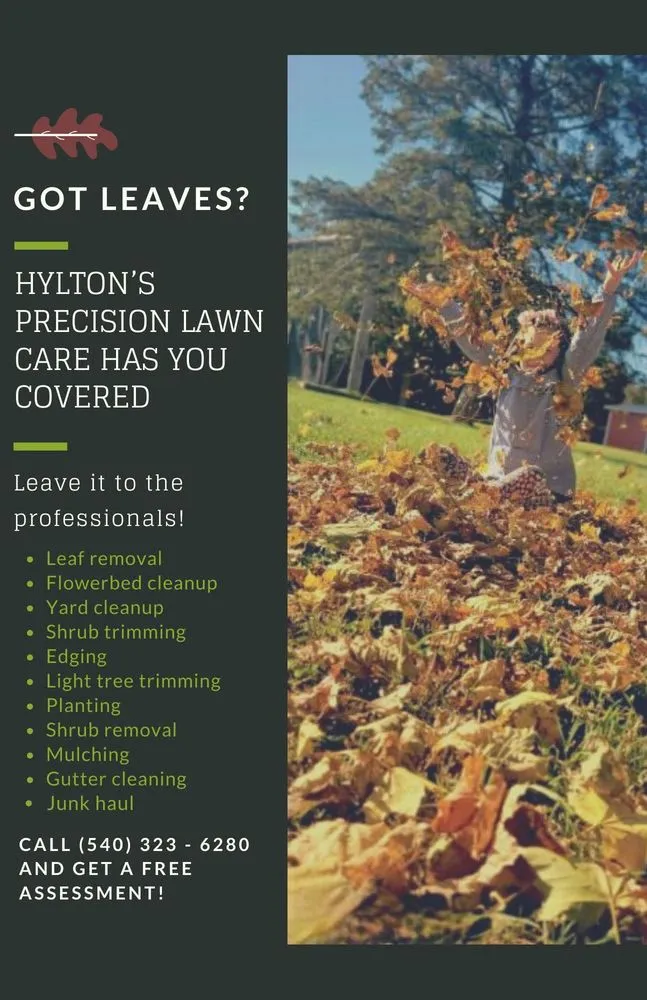 Reliable outdoor landscaping for year-round maintenance across Winchester, VA - Hylton's Precision Lawn Care