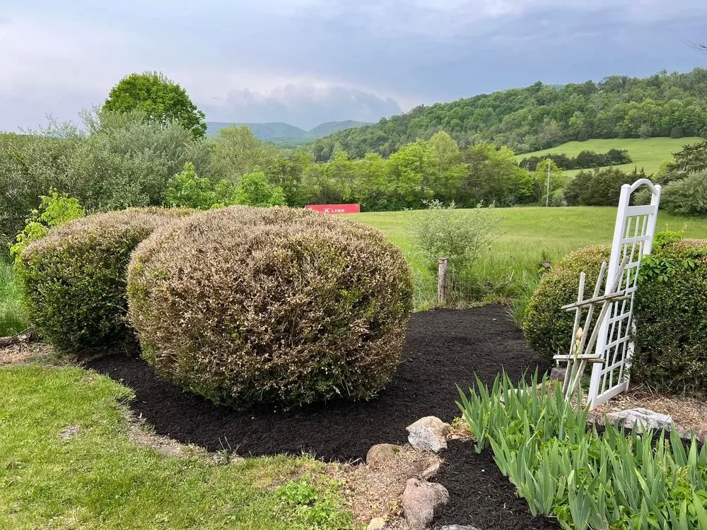 Reliable outdoor landscaping for residential properties across Winchester, VA - Hylton's Precision Lawn Care