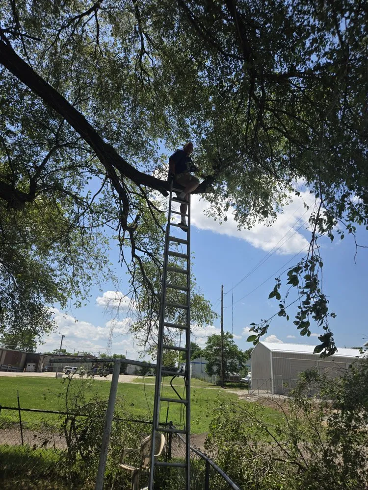 Reliable yard cleanup service for outdoor upgrades across Independence, IA - Hyman Services