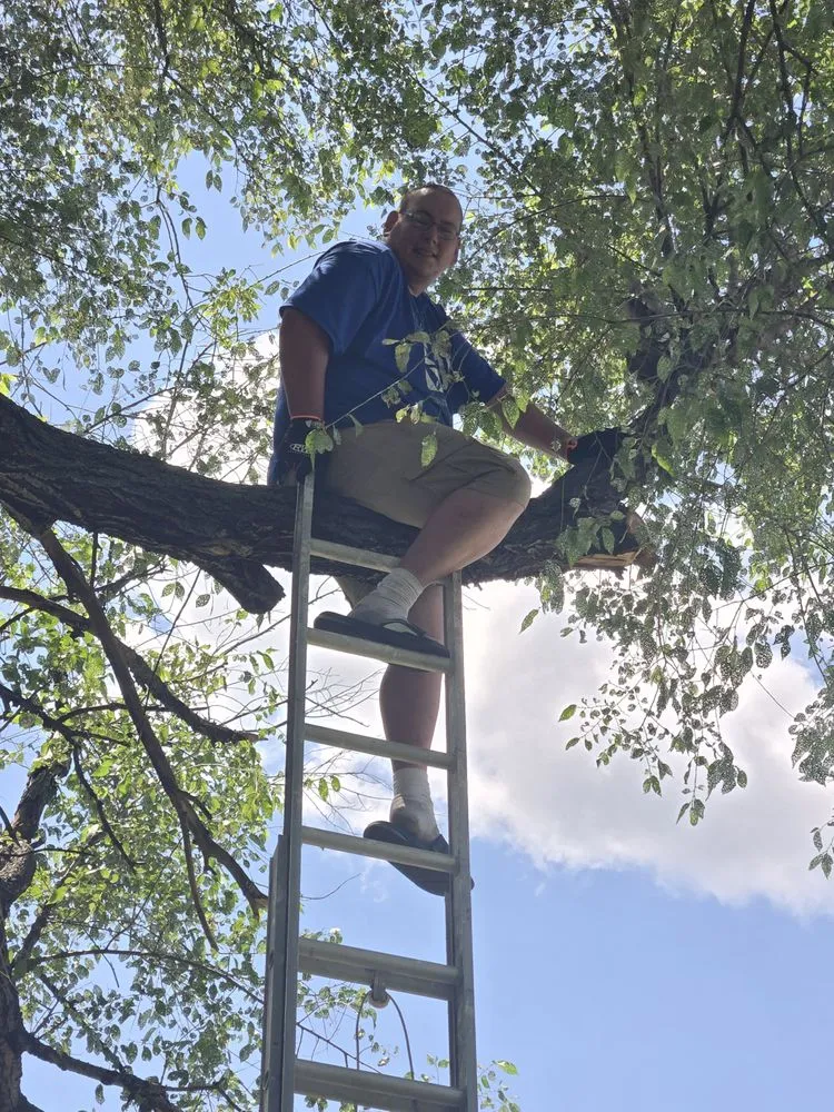 Top-rated yard maintenance in Independence, IA by Hyman Services