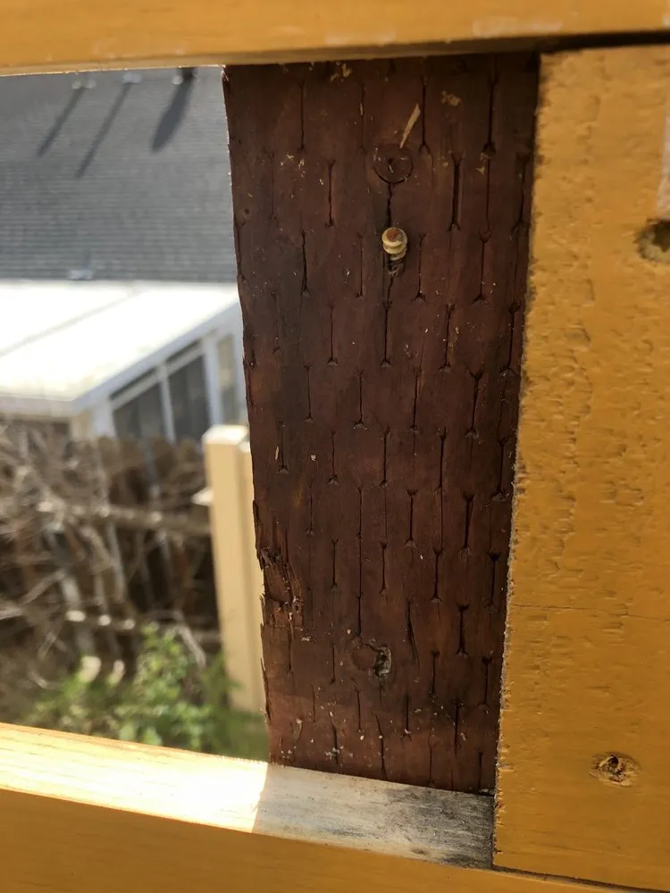 Professional lawn mowing service for outdoor upgrades across Ramona, CA - Hyper Construction