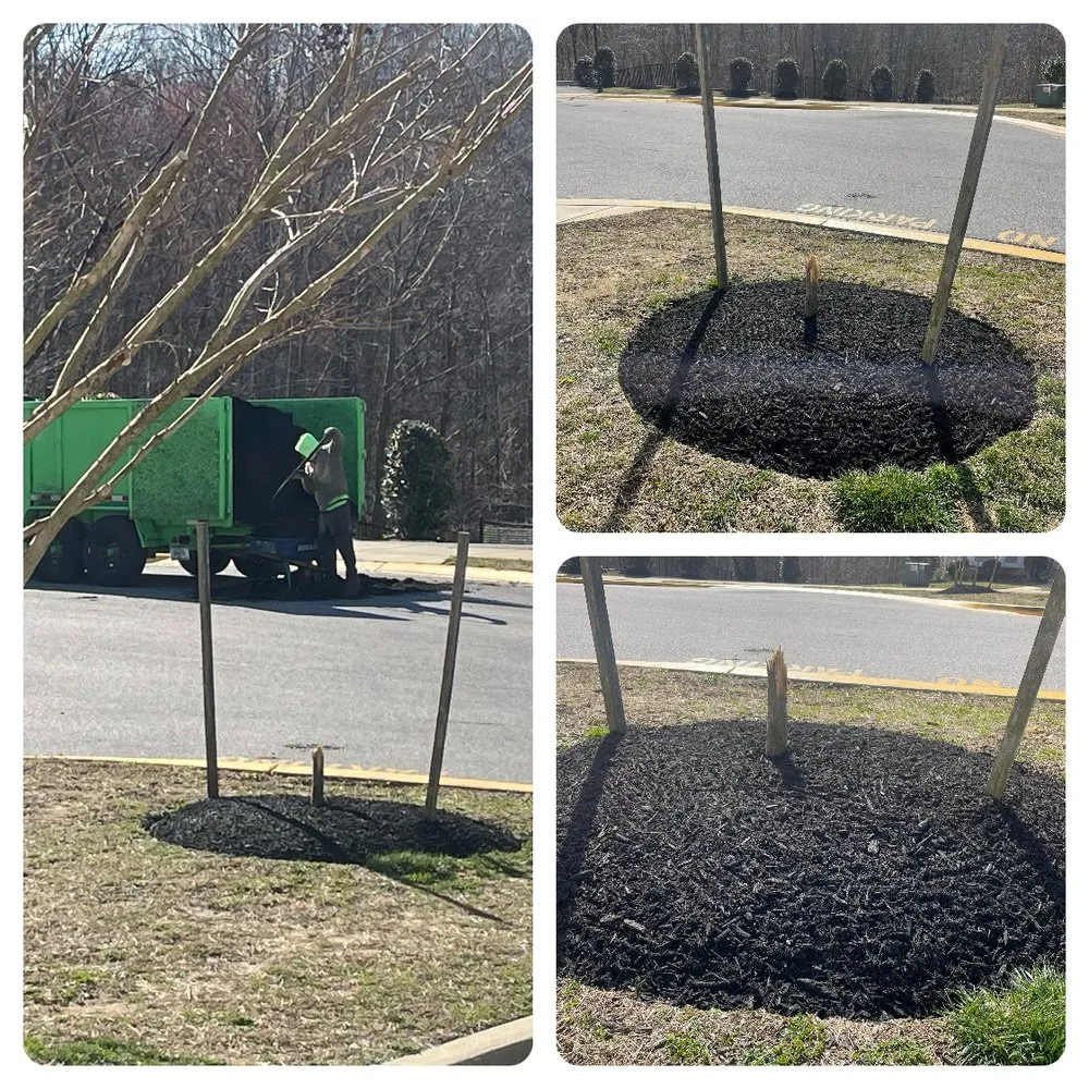 Reliable landscape design for year-round maintenance in Mechanicsville, MD by Hyper Landscaping and Design