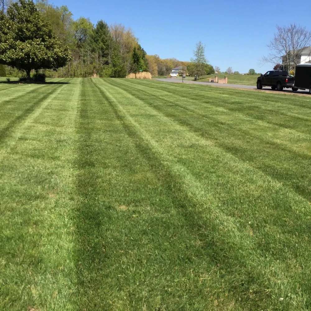 Expert yard maintenance with custom design in Mechanicsville, MD by Hyper Landscaping and Design