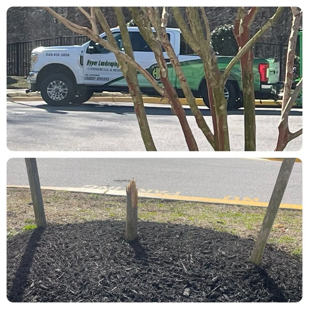 Professional landscaping services experts serving Mechanicsville, MD - Hyper Landscaping and Design