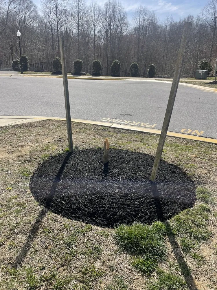 Top-rated garden landscaping in Mechanicsville, MD by Hyper Landscaping and Design