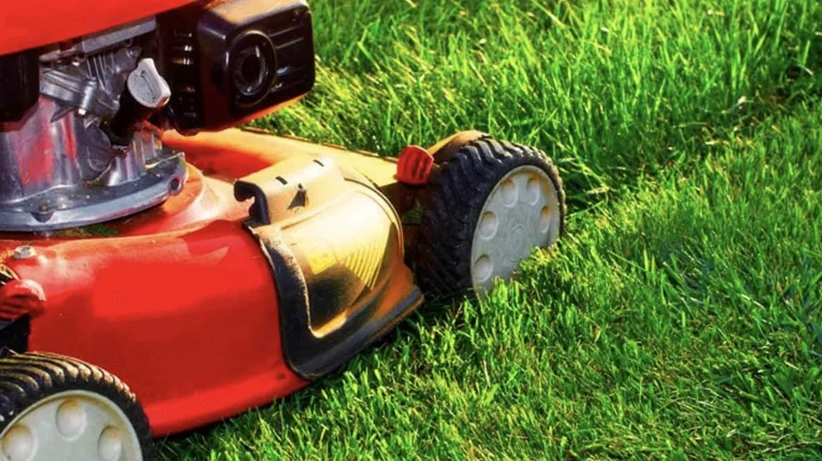 Affordable residential landscaping in New Paltz, NY - Hyperflux