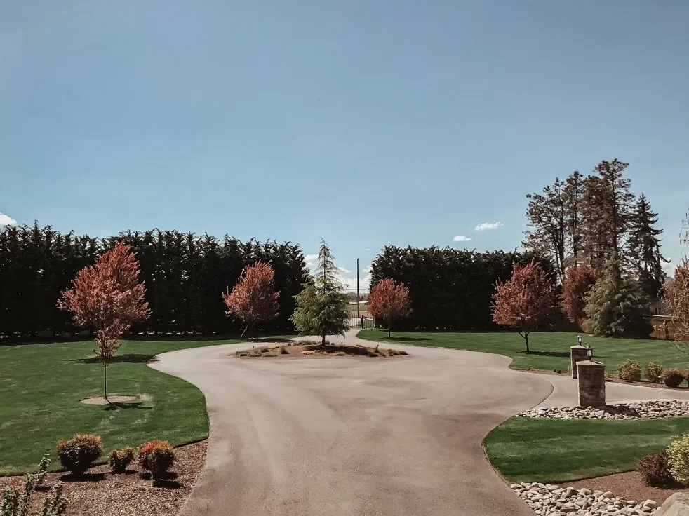 Reliable yard cleanup service in Buckley, WA by HyperGreen Landscape