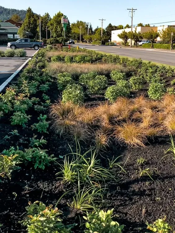 Expert lawn care service for outdoor upgrades in Buckley, WA by HyperGreen Landscape