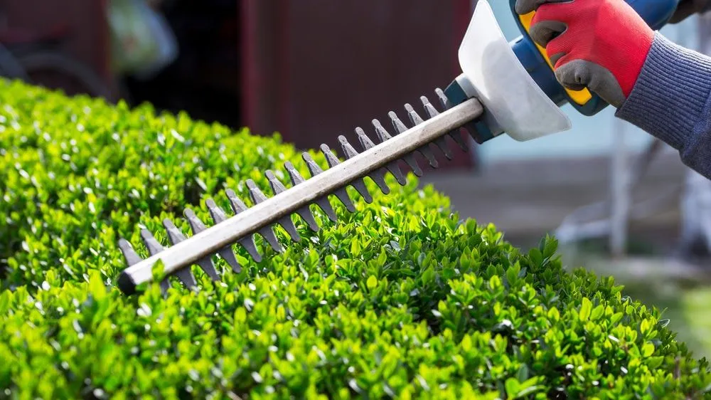 Reliable landscape installation in West Orange, NJ by Hyperion Facilities Management