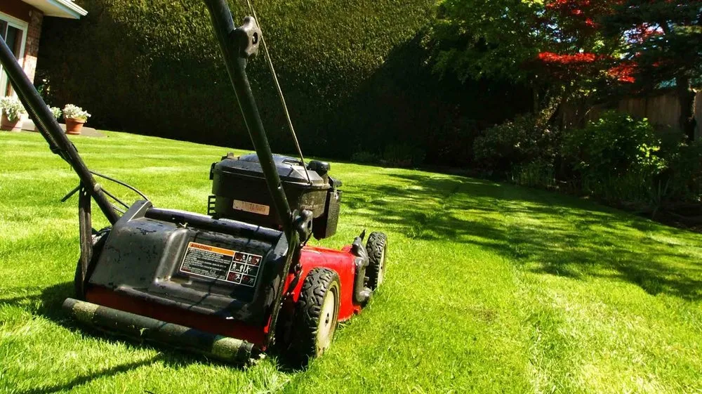 Affordable yard maintenance in West Orange, NJ - Hyperion Facilities Management