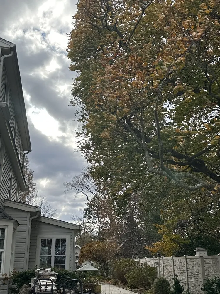 Custom lawn care service in Delran, NJ - Hyperion Tree Service