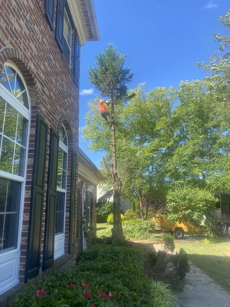 Affordable lawn mowing service for outdoor upgrades in Delran, NJ by Hyperion Tree Service